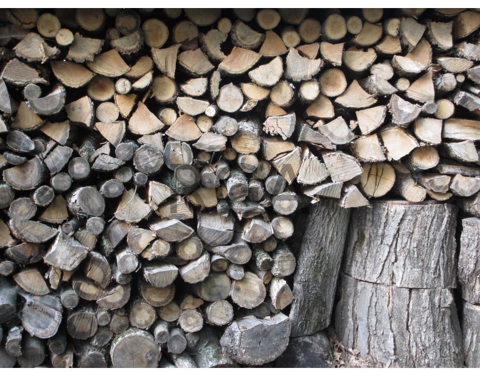 Log Pile